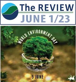 The Review - June 1st Edition